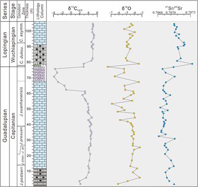 Late Guadalupian–early Lopingian marine geochemical records from the Upper Yangtze, South China: Implications for climate-biocrisis events